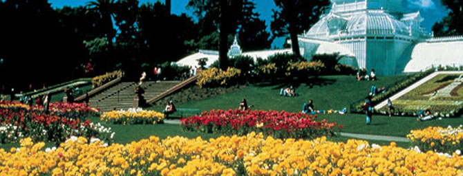 The San Francisco Botanical Garden The San Francisco Botanical Garden