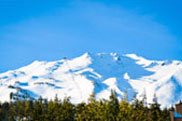 The Snowbomb Ski & Board Festival