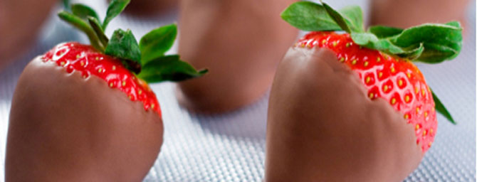 San Francisco Things to Do - Craft Chocolate Tour