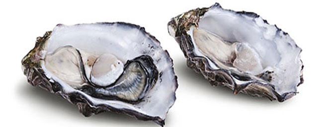 San Francisco Events - Oysterfest - Live Music & Wine Pairings - May 7