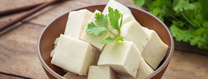 San Francisco Events - Northern California Soy and Tofu Festival